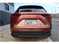 2025 Lexus NX