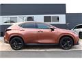 2025 Lexus NX