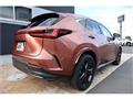 2025 Lexus NX
