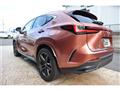 2025 Lexus NX