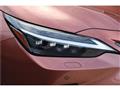 2025 Lexus NX
