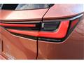 2025 Lexus NX