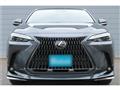2025 Lexus NX