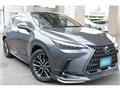 2025 Lexus NX