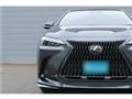 2025 Lexus NX