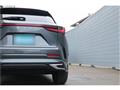 2025 Lexus NX