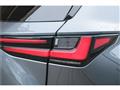 2025 Lexus NX