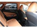 2025 Lexus NX