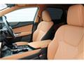 2025 Lexus NX