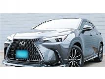 2025 Lexus NX