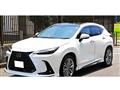 2025 Lexus NX