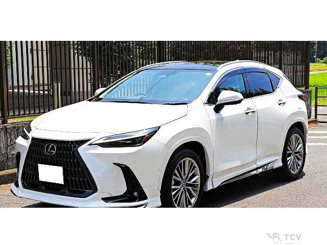 2025 Lexus NX