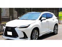 2025 Lexus NX