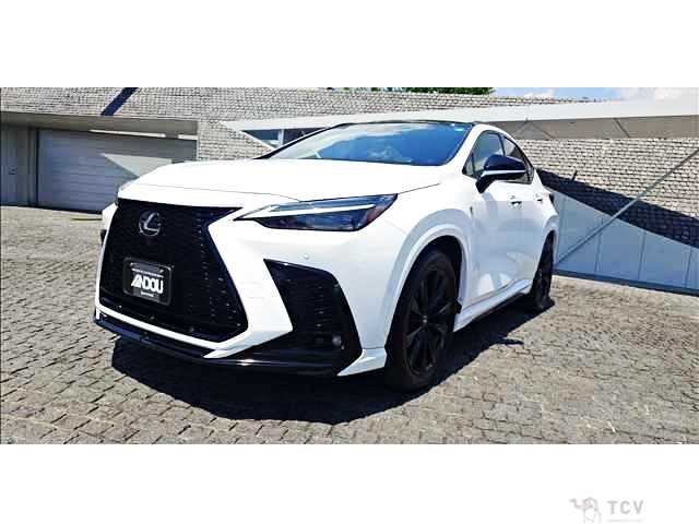 2025 Lexus NX