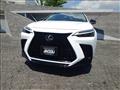 2025 Lexus NX
