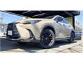 2025 Lexus NX