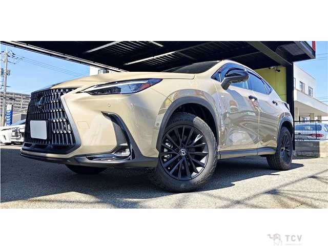 2025 Lexus NX