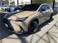 2025 Lexus NX