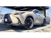 2025 Lexus NX