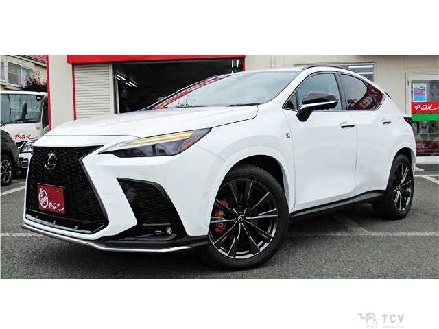 2025 Lexus NX