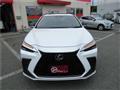 2025 Lexus NX