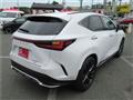 2025 Lexus NX