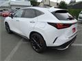 2025 Lexus NX