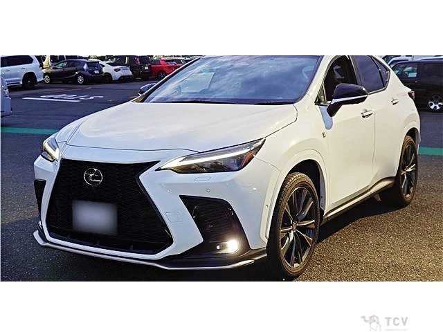 2025 Lexus NX