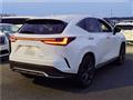 2025 Lexus NX
