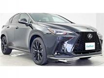 2025 Lexus NX