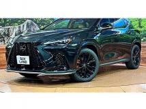 2025 Lexus NX
