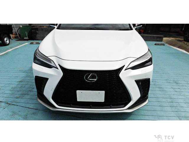 2025 Lexus NX