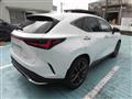 2025 Lexus NX