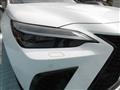2025 Lexus NX