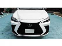 2025 Lexus NX