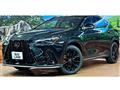 2025 Lexus NX