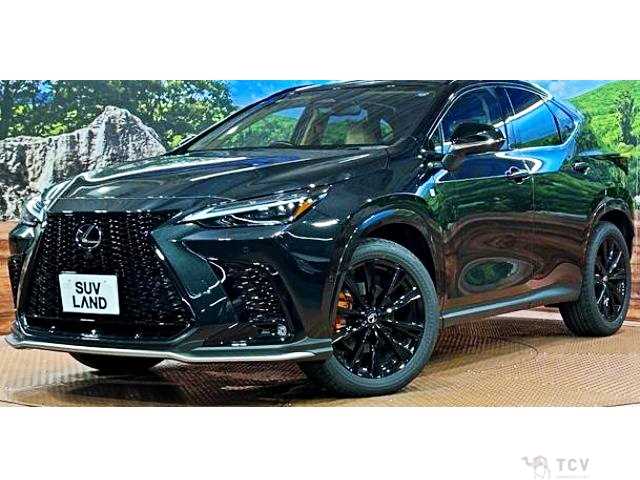 2025 Lexus NX