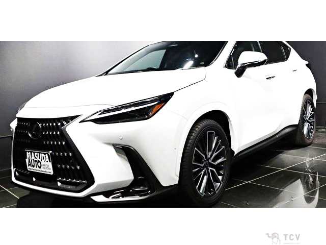 2025 Lexus NX