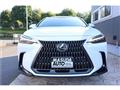 2025 Lexus NX