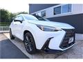 2025 Lexus NX