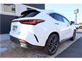 2025 Lexus NX