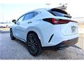 2025 Lexus NX