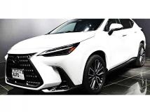 2025 Lexus NX