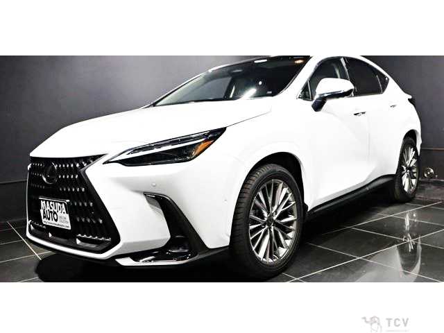 2025 Lexus NX