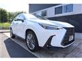 2025 Lexus NX