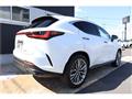 2025 Lexus NX