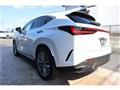 2025 Lexus NX