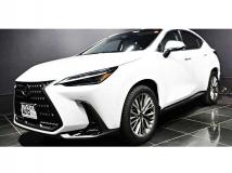 2025 Lexus NX