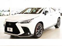 2025 Lexus NX
