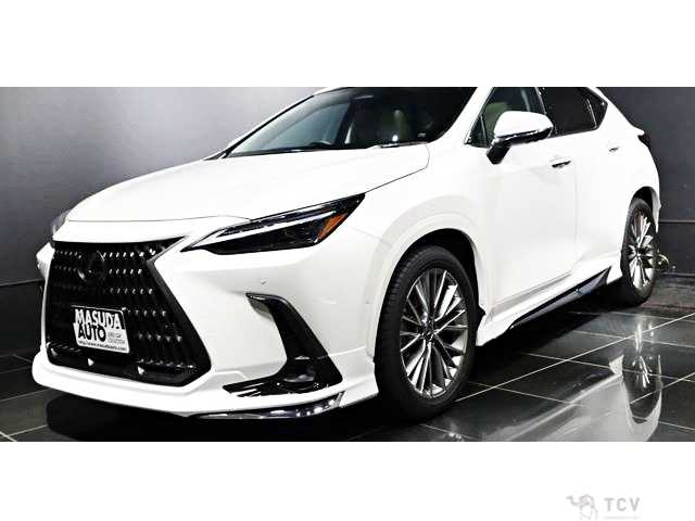 2025 Lexus NX